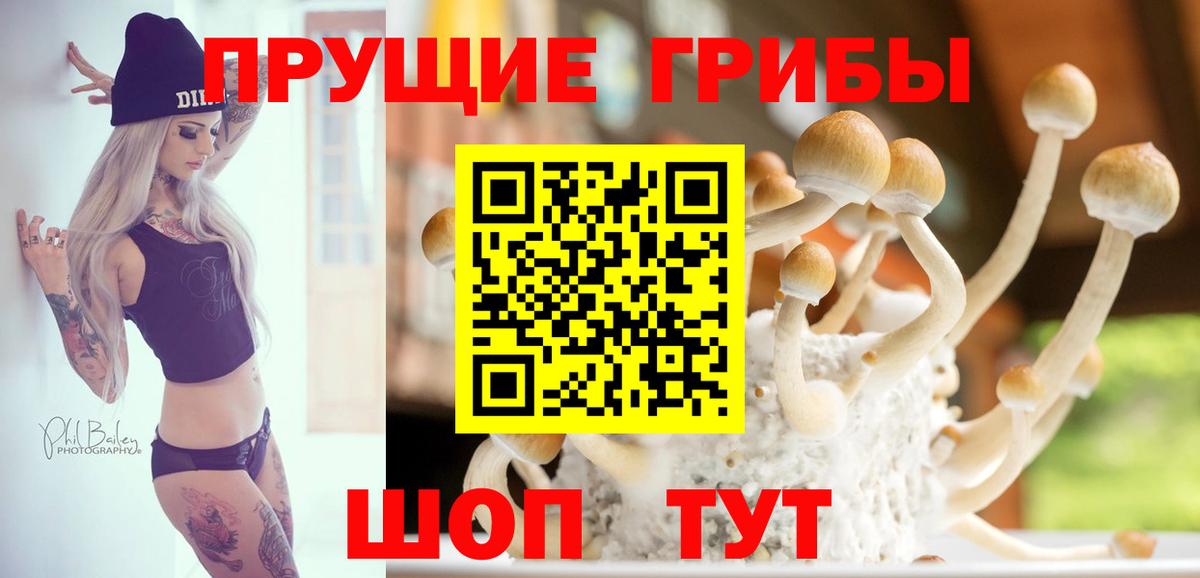 Псилоцибиновые грибы GOLDEN TEACHER  Вход с VPN  Псилоцибиновые грибы ЛСД  Красноярск 